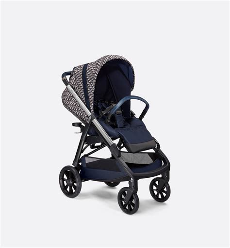 dior oblique baby stroller.